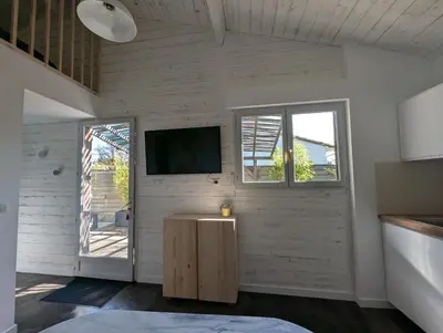 Télévision ou salle de divertissement dans l'établissement Esprit Cabane au Cœur du Teich