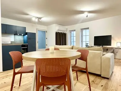 Cuisine ou kitchenette dans l'établissement Les Suites de Molière