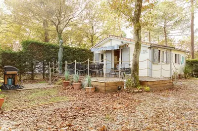 Jardin de l'établissement Chalet 213 en lisière de forêt