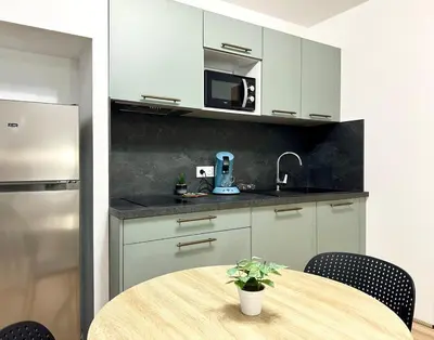 Cuisine ou kitchenette dans l'établissement Le Green & Cosy - Neuf - Tout équipé