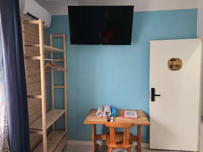 Télévision ou salle de divertissement dans l'établissement Gîte Horizons Landais Séjour professionnel et vacances dans les Landes