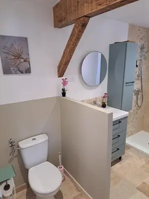 Salle de bains dans l'établissement Maison style chalet