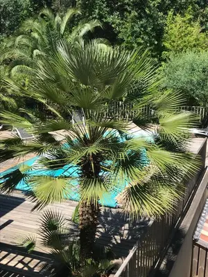 Jardin de l'établissement Ravissante villa tout bois avec piscine chauffée