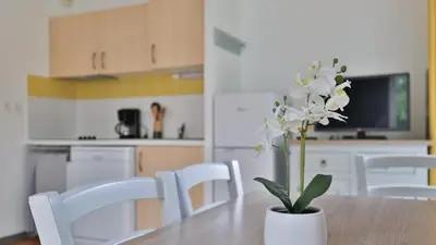 Cuisine ou kitchenette dans l'établissement D Des Grands Lacs N94-2P4