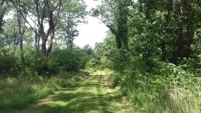 Paysage naturel près de la maison de vacances