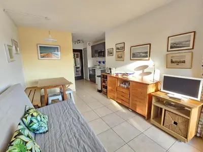 Télévision ou salle de divertissement dans l'établissement Agréable appartement 2 chambres Notre Dame 200m de la plage, piscine commune