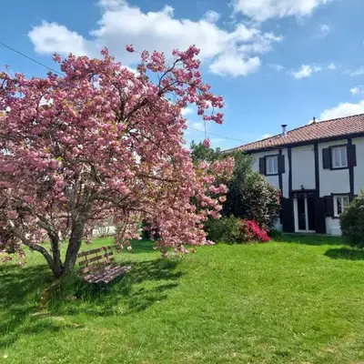 Bienvenue à la maison