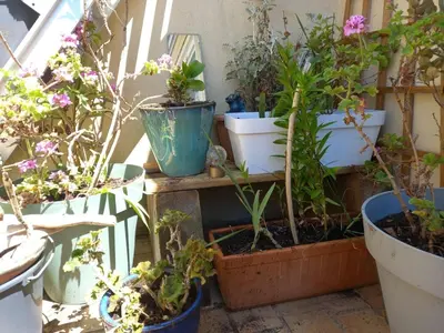 Jardin de l'établissement Logement au calme à 50m de l'océan