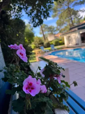 Piscine de l'établissement Villa 3 étoiles piscine chauffée 6 pers Biscarrosse Lac ou située à proximité