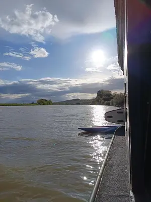 Paysage naturel près de le bateau