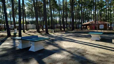 Plan de l'établissement Mobil-home Camping Les Oyats 4 Etoiles, Seignosse, Landes