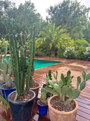 Piscine de l'établissement Villa Soleya - Archik - Pyla sur Mer ou située à proximité