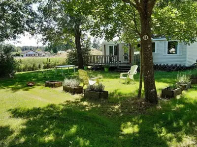 Jardin de l'établissement Mobil home 4 pers - 2 chambres - Terrasse - API-1-52-648