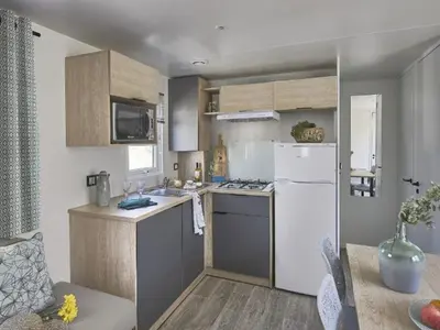 Cuisine ou kitchenette dans l'établissement Mobil-home 3 Chambres avec Terrasse à Saint-Julien-en-Born - API-1-52-1293