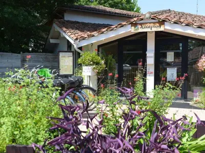 Jardin de l'établissement Mobil home 6 pers - Terrasse - Confort - API-1-52-1615