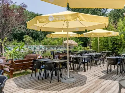 Jardin de l'établissement Mobil-home 6 pers avec Terrasse à Saint-Paul-en-Born - API-1-52-1647