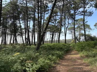 Paysage naturel près de la maison de vacances