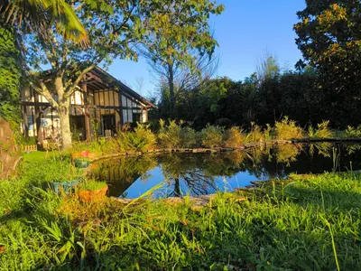 Paysage naturel près de le séjour chez l'habitant