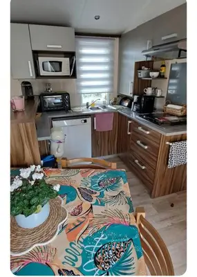 Cuisine ou kitchenette dans l'établissement Mobil home