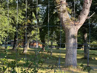 Jardin de l'établissement Airial landais