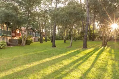 Jardin de l'établissement Residence Moliets - maeva Home