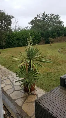Jardin de l'établissement La Belle Chaumière