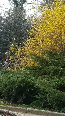 Jardin de l'établissement La Belle Chaumière