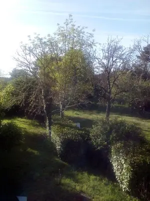 Paysage naturel près de le B&B/chambre d'hôtes