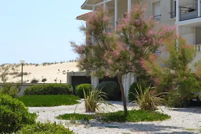 Jardin de l'établissement Residence Oceanis