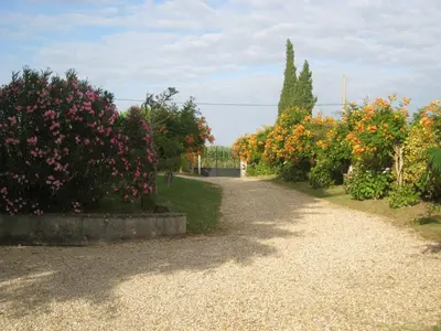 Jardin de l'établissement Domaine de Millox