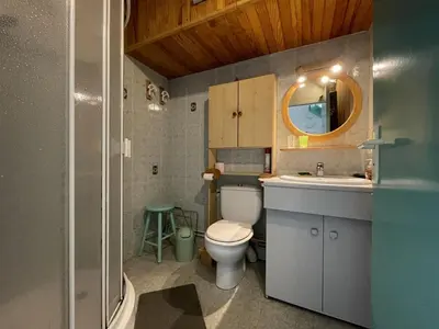 Salle de bains dans l'établissement Charmant T2 mezzanine pour 4 pers. avec jardinet, proche du lac à Soustons - FR-1-379-72