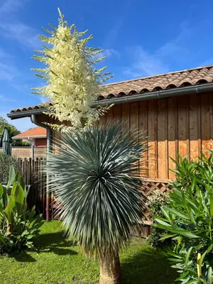 Jardin de l'établissement La cabane 62