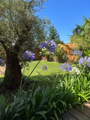Jardin de l'établissement La cabane 62
