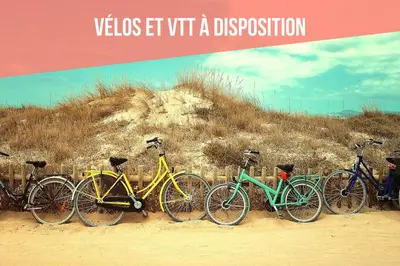 Vélo sur le terrain de l'établissement SAUNA - JACUZZI - 100% PRIVÉ - L'ESTANTADA ou dans les environs