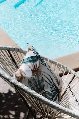 Piscine de l'établissement Hôtel Les Fougères - Hossegor ou située à proximité