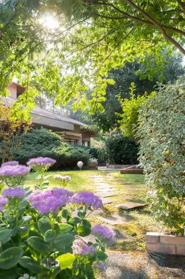 Jardin de l'établissement Résidence Hôtelière les Acanthes