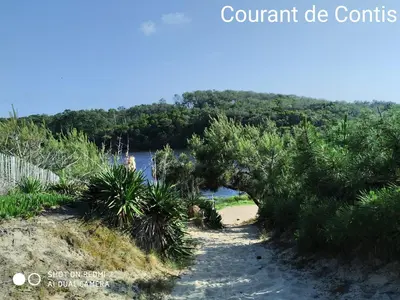 Paysage naturel près de le camping