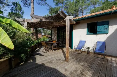Jardin de l'établissement Villa sous les pins de Moliets
