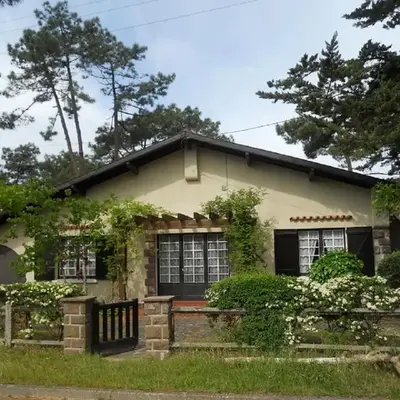 La palombe