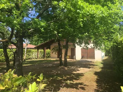 Jardin de l'établissement Villa Climatisée et Wifi Gujan à 5 mn du Bassin d'Arcachon