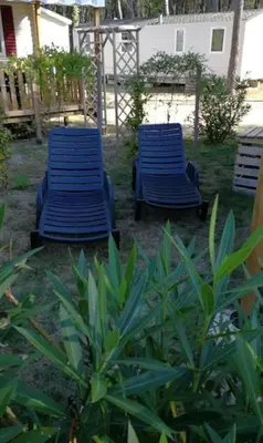 Jardin de l'établissement MH 395 3 chambres et 1 salle de bain dans camping 4 étoiles