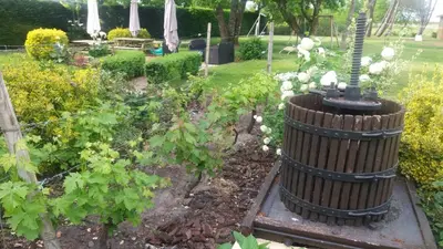 Jardin de l'établissement Chambre d'Hôtes L'Airial