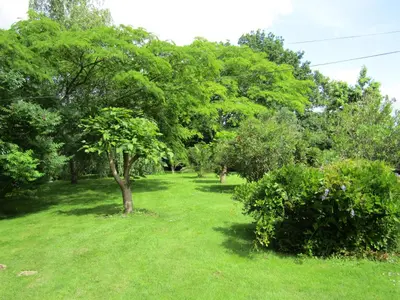 Jardin de l'établissement Gîte de Marcadé