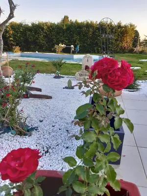 Jardin de l'établissement Petit Coin De Détente