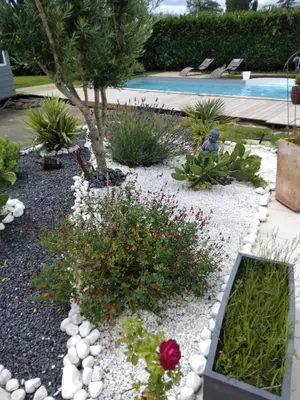 Piscine de l'établissement Petit Coin De Détente ou située à proximité