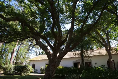 Bâtiment de le village vacances
