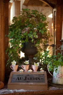 Jardin de l'établissement Chambres 