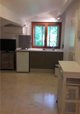 Cuisine ou kitchenette dans l'établissement Studio mansardé climatisé les roseaux bord de lac