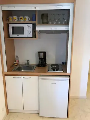 Cuisine ou kitchenette dans l'établissement Studio mansardé climatisé les roseaux bord de lac