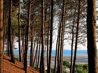 Paysage naturel près de la maison de vacances